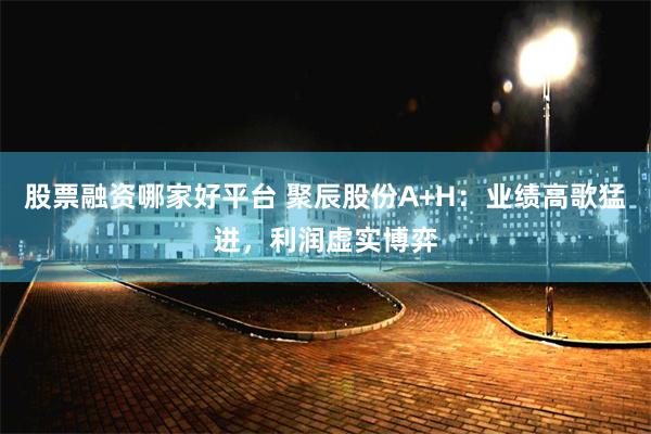 股票融资哪家好平台 聚辰股份A+H：业绩高歌猛进，利润虚实博弈