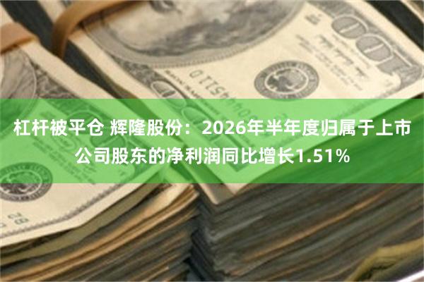 杠杆被平仓 辉隆股份：2026年半年度归属于上市公司股东的净利润同比增长1.51%