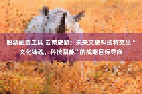 股票融资工具 云南旅游:未来文旅科技将突出“文化铸魂,科技赋能”的战略目标导向