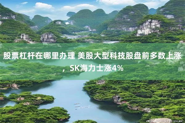 股票杠杆在哪里办理 美股大型科技股盘前多数上涨，SK海力士涨4%