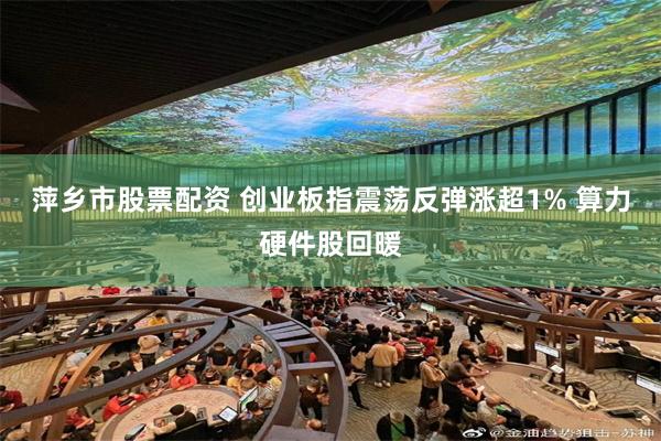 萍乡市股票配资 创业板指震荡反弹涨超1% 算力硬件股回暖