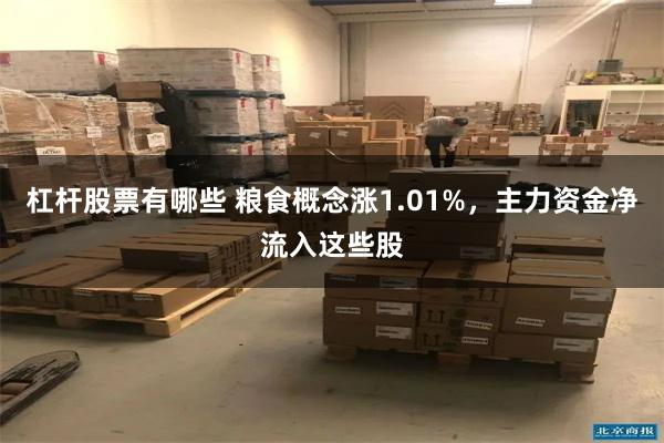 杠杆股票有哪些 粮食概念涨1.01%，主力资金净流入这些股