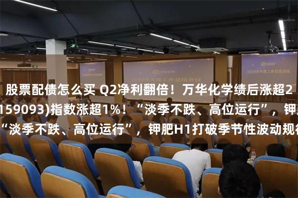 股票配债怎么买 Q2净利翻倍！万华化学绩后涨超2%，化工ETF汇添富(159093)指数涨超1%！“淡季不跌、高位运行”，钾肥H1打破季节性波动规律！