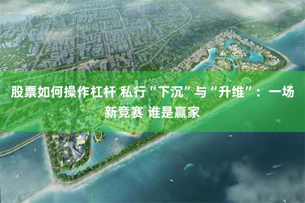 股票如何操作杠杆 私行“下沉”与“升维”：一场新竞赛 谁是赢家