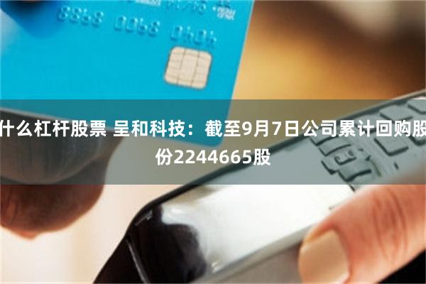 什么杠杆股票 呈和科技：截至9月7日公司累计回购股份2244665股
