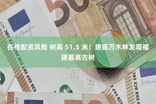 在线配资风险 树高 51.5 米！建瓯万木林发现福建最高古树