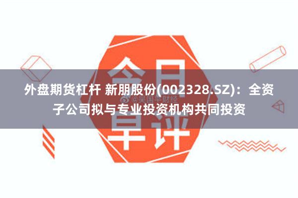 外盘期货杠杆 新朋股份(002328.SZ):全资子公司拟与专业投资机构共同投资