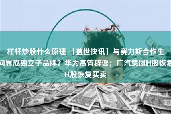 杠杆炒股什么原理 【盖世快讯】与赛力斯合作生变，问界成独立子品牌？华为高管辟谣；广汽集团H股恢复买卖