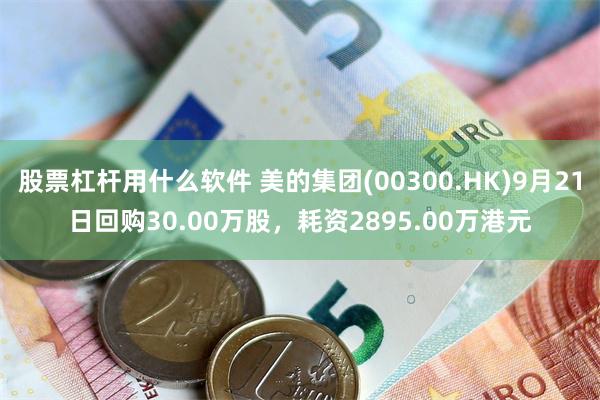 股票杠杆用什么软件 美的集团(00300.HK)9月21日回购30.00万股,耗资2895.00万港元