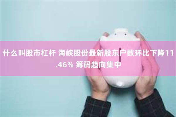 什么叫股市杠杆 海峡股份最新股东户数环比下降11.46% 筹码趋向集中
