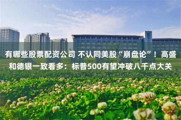 有哪些股票配资公司 不认同美股“崩盘论”！高盛和德银一致看多：标普500有望冲破八千点大关