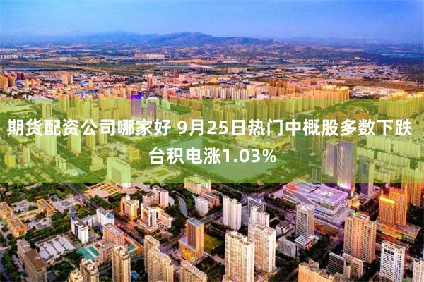 期货配资公司哪家好 9月25日热门中概股多数下跌 台积电涨1.03%