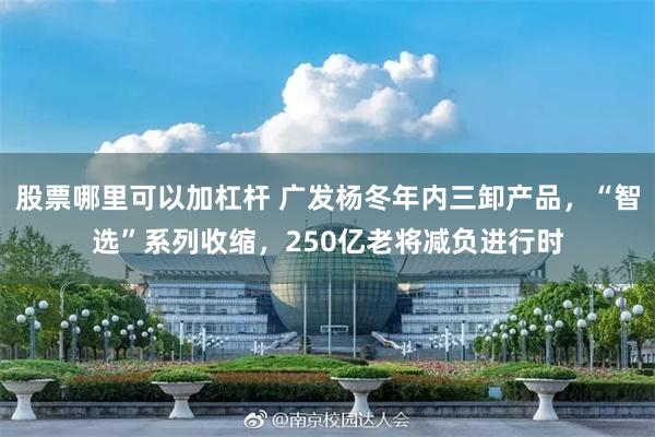 股票哪里可以加杠杆 广发杨冬年内三卸产品，“智选”系列收缩，250亿老将减负进行时