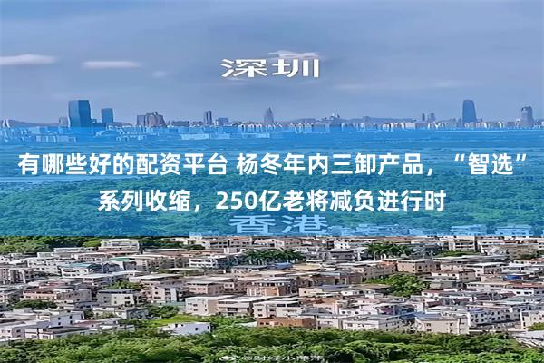 有哪些好的配资平台 杨冬年内三卸产品，“智选”系列收缩，250亿老将减负进行时