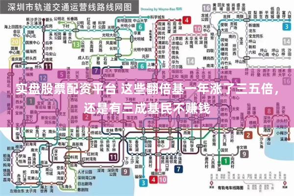 实盘股票配资平台 这些翻倍基一年涨了三五倍,还是有三成基民不赚钱