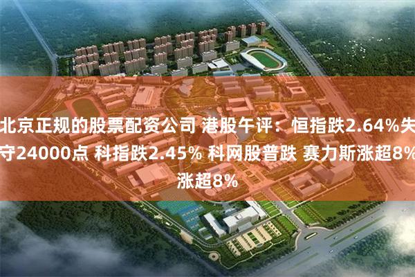 北京正规的股票配资公司 港股午评:恒指跌2.64%失守24000点 科指跌2.45% 科网股普跌 赛力斯涨超8%