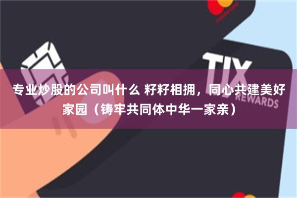 专业炒股的公司叫什么 籽籽相拥，同心共建美好家园（铸牢共同体中华一家亲）