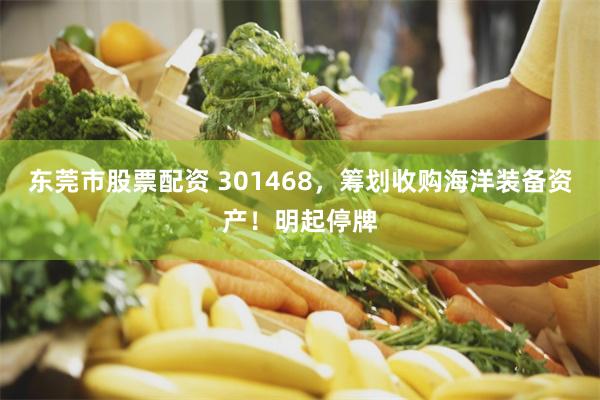 东莞市股票配资 301468,筹划收购海洋装备资产!明起停牌