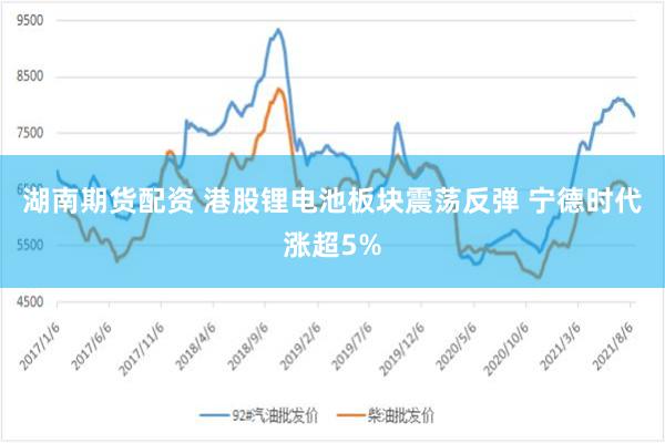 湖南期货配资 港股锂电池板块震荡反弹 宁德时代涨超5%