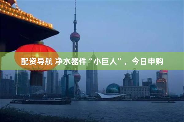 配资导航 净水器件“小巨人”,今日申购